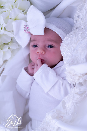 2019-Oct-19-Maisy-Mae-049.jpg