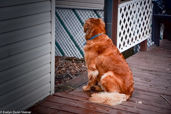 Thanksgiving-2014-36.jpg