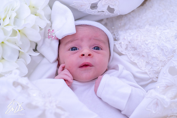 2019-Oct-19-Maisy-Mae-165.jpg