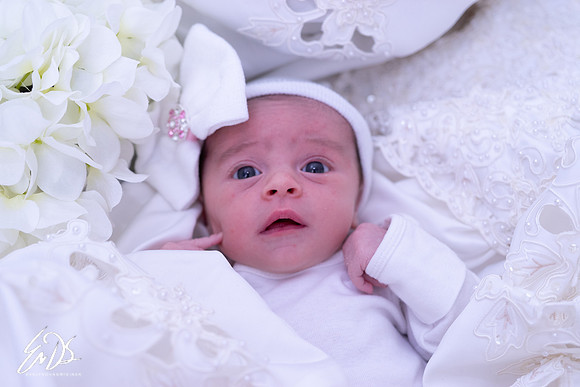 2019-Oct-19-Maisy-Mae-171.jpg