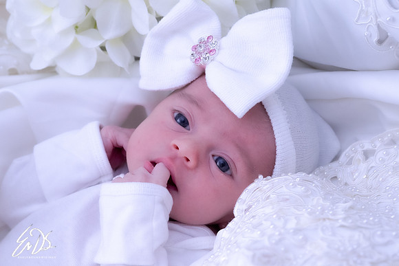 2019-Oct-19-Maisy-Mae-054.jpg