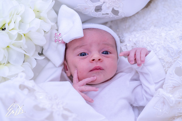 2019-Oct-19-Maisy-Mae-167.jpg