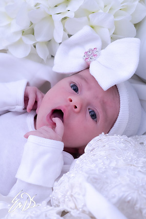 2019-Oct-19-Maisy-Mae-052.jpg