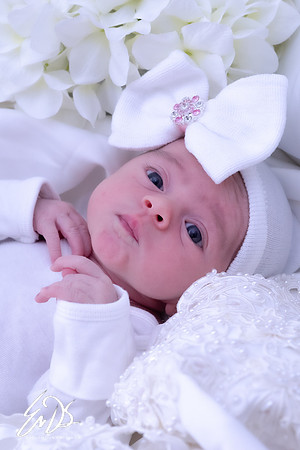 2019-Oct-19-Maisy-Mae-051.jpg